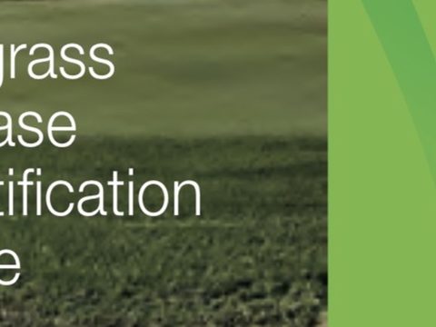 Turf Disease Indentification Guide for South Africa 2021 / 2022
