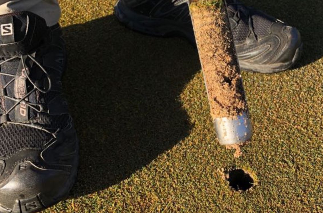 Turf Nutrition for South African Golf Courses