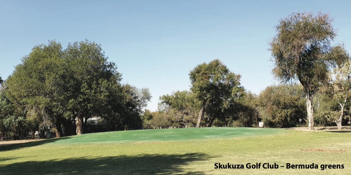 Syngenta Ryder Turf Pigment Technology for South African Golf Courses