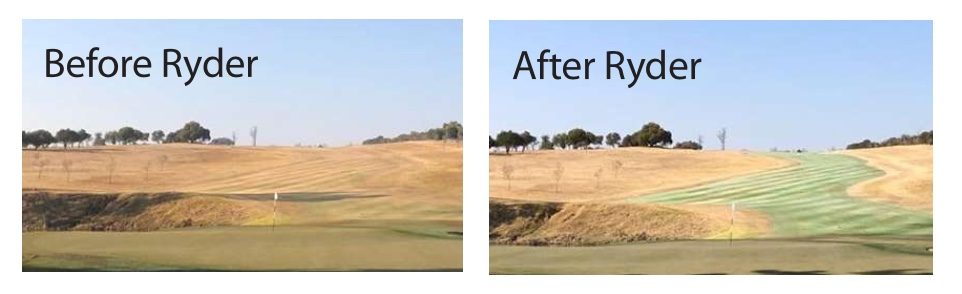 Ryder Golf Turf Pigment for Golf Courses