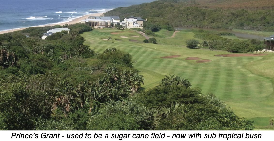 Golf Course Sustainability South Africa  - Interview with Business of Golf