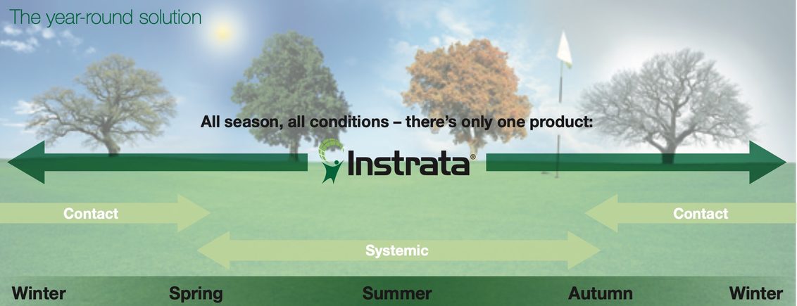 Instrata Fungicide for Turf in South Africa
