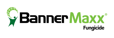 Banner Maxx Logo