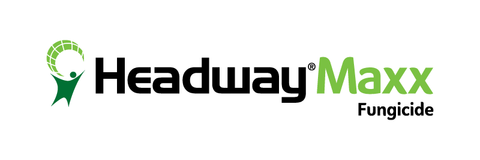 Headway Maxx Logo